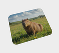 Capybara Desk Mat